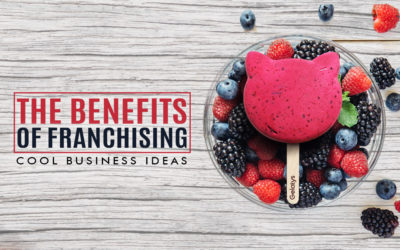 THE BENEFITS OF FRANCHISING COOL BUSINESS IDEAS